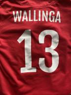 Alexander Wallinga