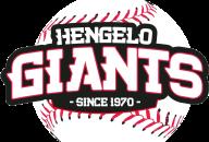 MH BeeBall
